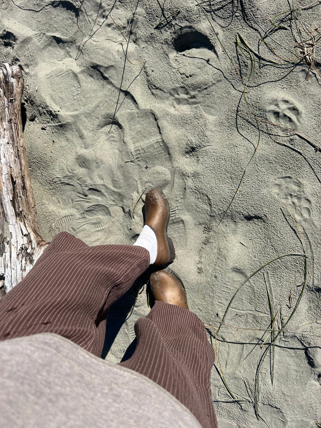 Lili Loungers Chocolate Stripe